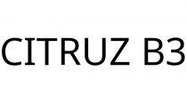 CITRUZ B3