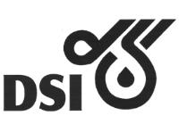 DSI