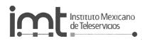 IMT - INSTITUTO MEXICANO DE TELESERVICIOS