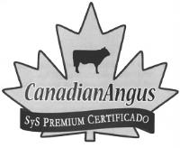CANADIAN ANGUS SYS PREMIUM CERTIFICADO