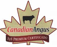 SYS PREMIUM CERTIFICADO