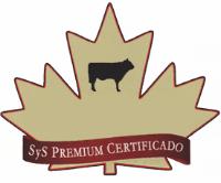 SYS PREMIUM CERTIFICADO