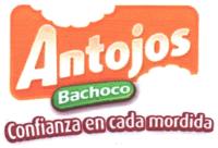 ANTOJOS BACHOCO CONFIANZA EN CADA MORDIDA