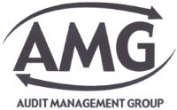 AMG AUDIT MANAGEMENT GROUP