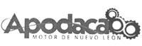 APODACA MOTOR DE NUEVO LEÓN