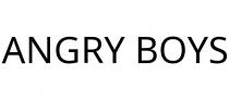 ANGRY BOYS