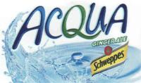 ACQUA GINGER ALE SCHWEPPES