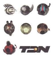 TDN