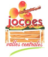 JOCOES VALLES CENTRALES