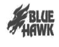 BLUE HAWK