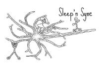 SLEEP N SYNC