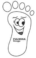 FULMINA HONGO