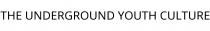 THE UNDERGROUND YOUTH CULTURE