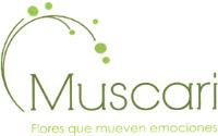MUSCARI FLORES QUE MUEVEN EMOCIONES