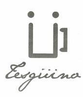 TES GÜINO