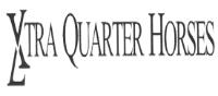 XTRA QUARTER HORSES