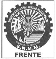 SINDICATO NACIONAL MINERO METALURGICO DON NAPOLEÓN GÓMEZ SADA S.N.M.M.