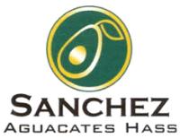 SANCHEZ AGUACATES