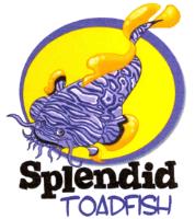SPLENDID TOADFISH