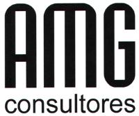 AMG CONSULTORES