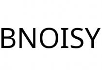 BNOISY