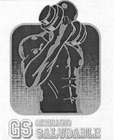 GS GIMNASIO SALUDABLE