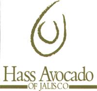 HASS AVOCADO OF JALISCO