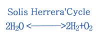SOLIS HERRERA'CYCLE 2H2 O 2H2 O2