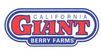 GIANT BERRY FARMS