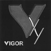 VXY VIGOR