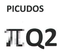 PICUDOS Q2