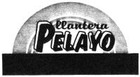 LLANTERA PELAYO