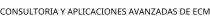 CONSULTORIA Y APLICACIONES AVANZADAS DE ECM