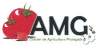 AMG CLÚSTER DE AGRICULTURA PROTEGIDA