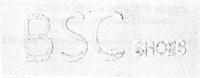 BSC SHOES