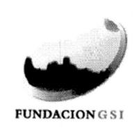 FUNDACION GSI