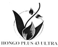 HONGO PLUS 43 ULTRA