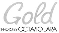 GOLD PHOTO BY OCTAVIO LARA