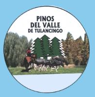 PINOS DEL VALLE DE TULANCINGO