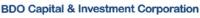 BDO CAPITAL INVESTMENT CORPORATION