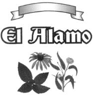 EL ALAMO