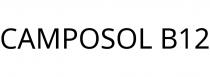 CAMPOSOL B12