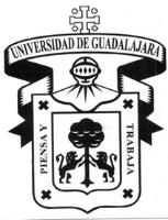 UNIVERSIDAD DE GUADALAJARA PIENSA Y TRABAJA