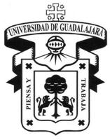 UNIVERSIDAD DE GUADALAJARA PIENSA Y TRABAJA