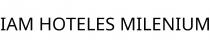 IAM HOTELES MILENIUM