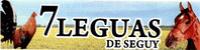 7 LEGUAS DE SEGUY
