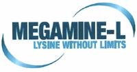 MEGAMINE-L LYSINE WITHOUT LIMITS