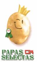 PAPAS GR SELECTAS