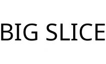 BIG SLICE