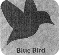 BLUEBIRD